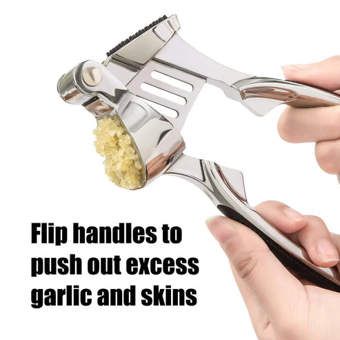 Stainless-Steel Garlic Press