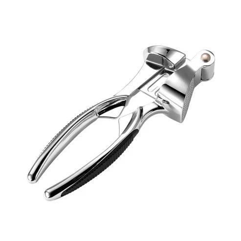 Stainless-Steel Garlic Press